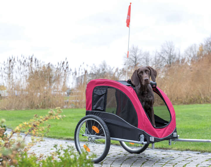 TRIXIE Fahrrad-Anhänger für Hunde